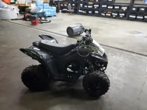 2022 KAWASAKI ATV