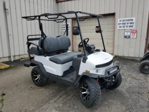 2025 DENAGO E GOLF CAR