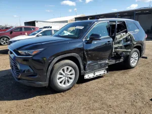 2024 TOYOTA GRAND HIGH