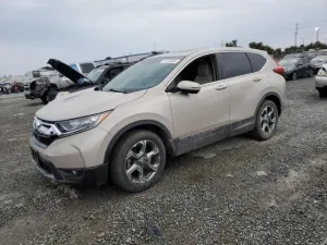 2019 HONDA CRV