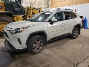 2023 TOYOTA RAV4 WOODL