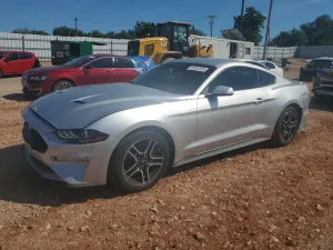 2019 FORD ALL Models