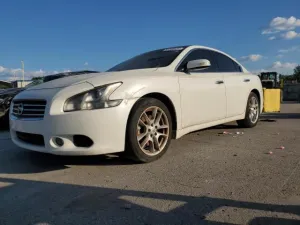 2010 NISS MAXIMA