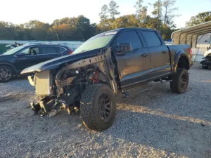 2024 FORD All Models