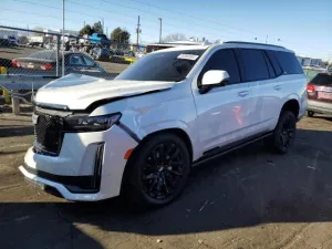 2024 CADILLAC ESCALADE