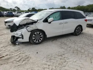 2023 HONDA All Models