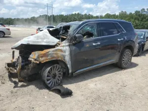 2024 HYUNDAI PALISADE