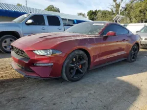 2019 FORD ALL Models
