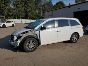 2013 HONDA All Models