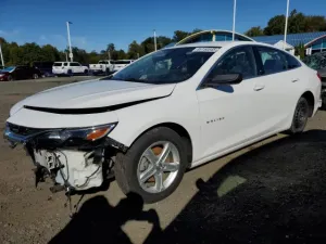 2019 CHEVROLET MALIBU