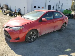 2019 TOYOTA COROLLA