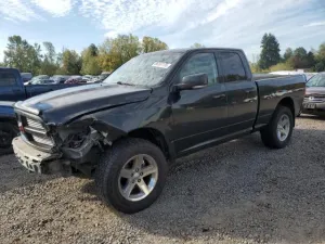 2010 DODGE RAM 1500