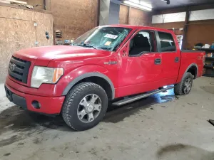 2010 FORD F-150