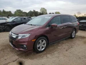 2019 HONDA All Models