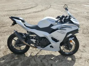 2024 KAWASAKI NINJA 500