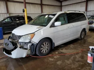 2008 HONDA All Models