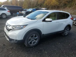 2019 HONDA CRV