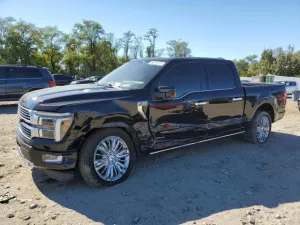 2024 FORD F150 PLATI