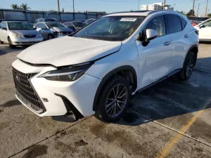 2024 LEXUS NX 250 BAS