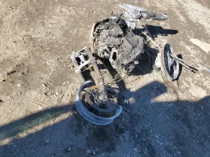 2024 DUCATI MULTISTRAD