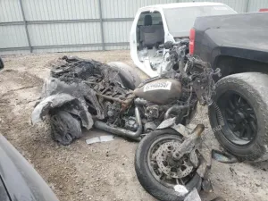 2023 HARLEY DAVIDSON FL