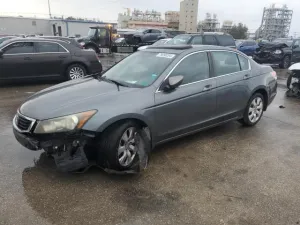 2010 HONDA ACCORD