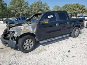 2009 FORD F-150