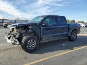 2023 FORD All Models