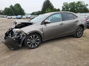 2019 TOYOTA COROLLA