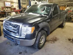 2010 FORD All Models