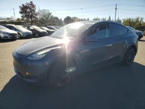 2020 TESLA MODEL Y