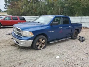 2009 DODGE All Models