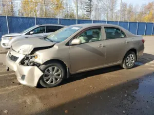 2010 TOYOTA COROLLA