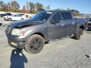 2004 FORD F-150