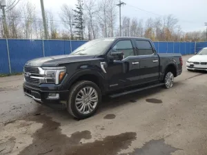 2025 FORD F150 PLATI