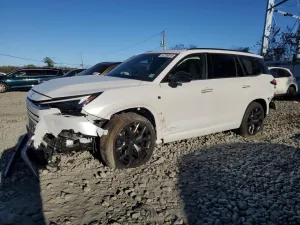 2025 LEXUS TX 500H F