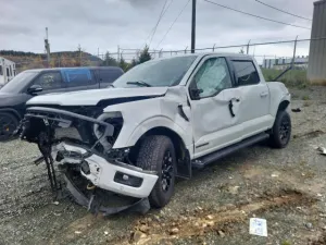 2024 FORD All Models