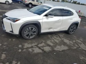 2019 LEXUS UX 250H
