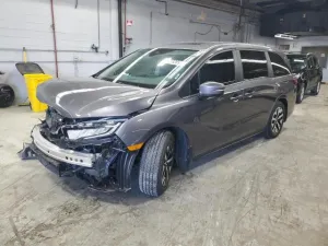 2025 HONDA All Models