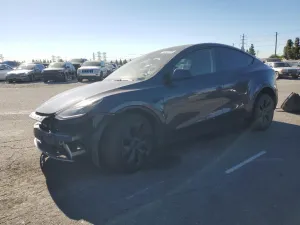 2025 TESLA MODEL Y
