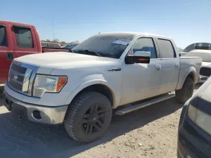 2010 FORD F-150