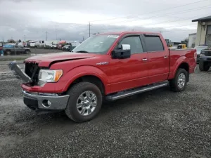 2010 FORD F-150
