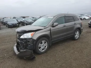 2010 HONDA CRV