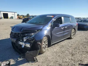 2024 HONDA All Models