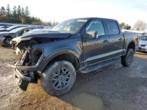 2025 FORD F150 TREMO