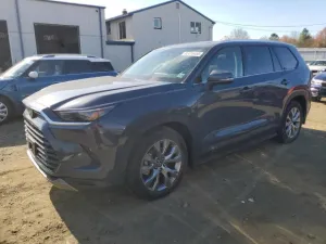 2025 TOYOTA GRAND HIGH