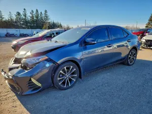 2019 TOYOTA COROLLA