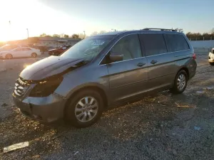 2009 HONDA All Models