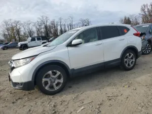 2019 HONDA CRV