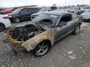 2006 FORD ALL Models